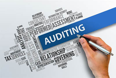 Audit Firms in India
